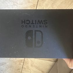 Nintendo Dock