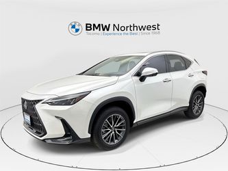2024 Lexus NX 350
