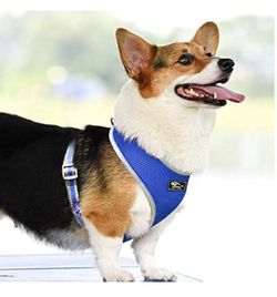 Puppy Harness and Leash Set - Soft Mesh Breathable Full Body