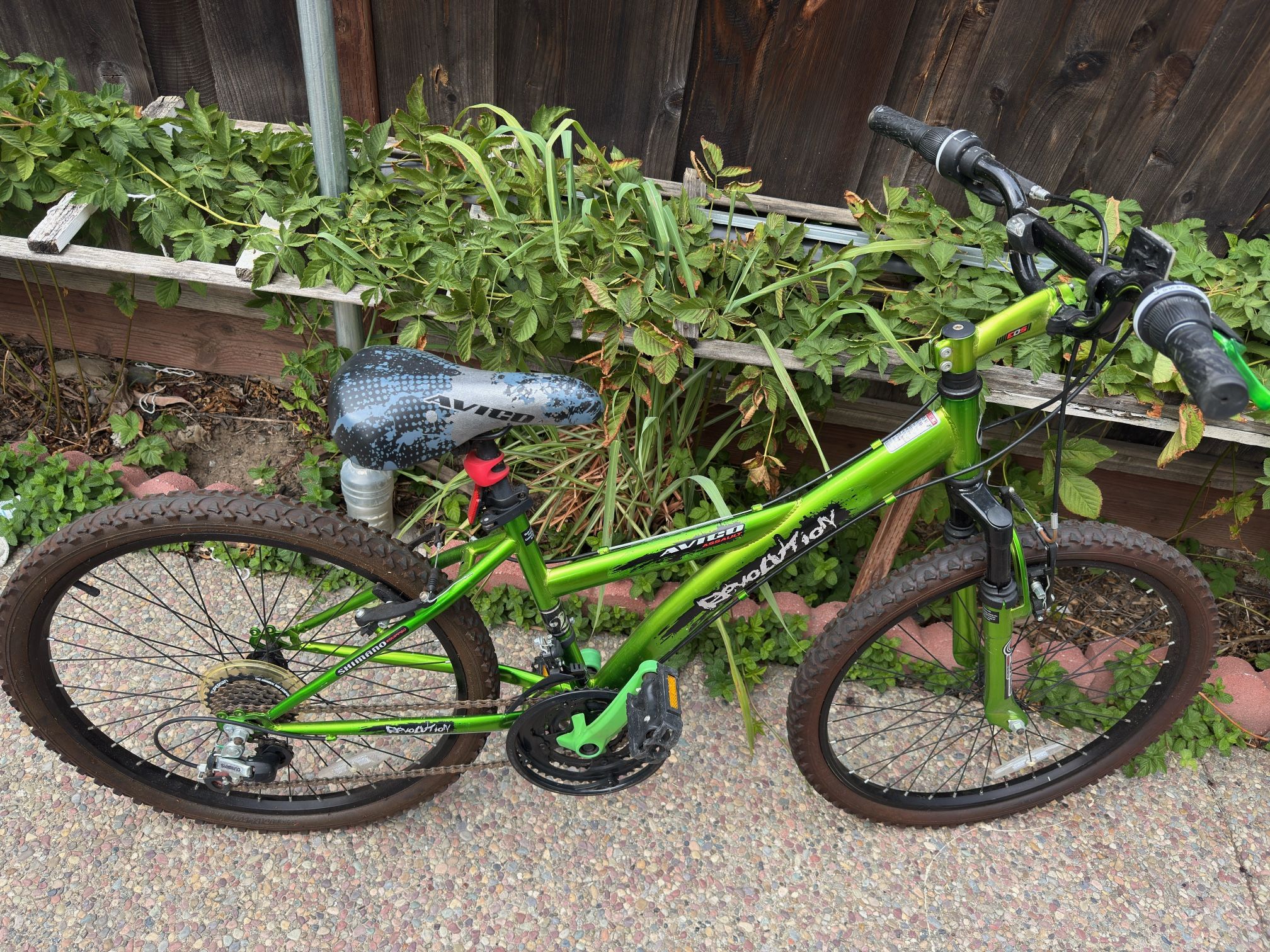 24” Mountain Bike