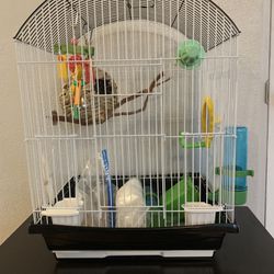 small birdcage