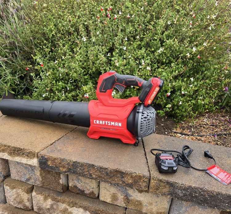 Cordless Leaf Blower with Battery & Charger