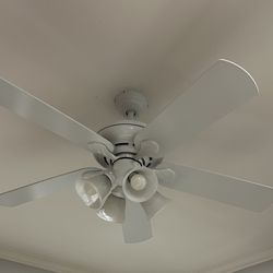 Ceiling Fan 