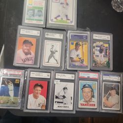Baseball Card Collection 