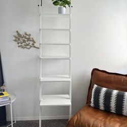 Ladder shelf