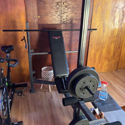 proform 630 weight bench