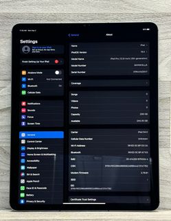 IPAD PRO 5TH GEN 256GB UNLOCKED