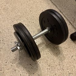 45lbs Dumbbells Pair