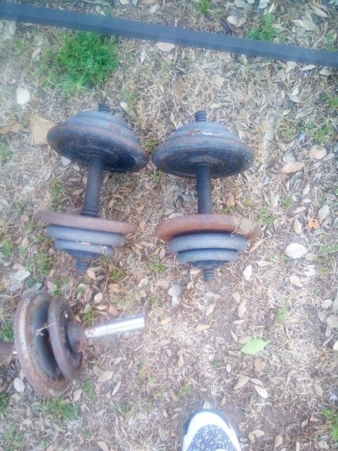 Dumbbells And Curl Bar