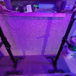 Weight Rack