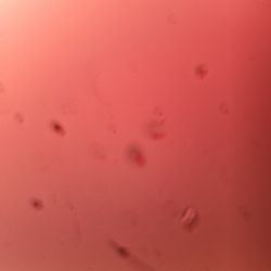 Will Fix Stick Drift For Cheap For Ps4 And 5 Controllers