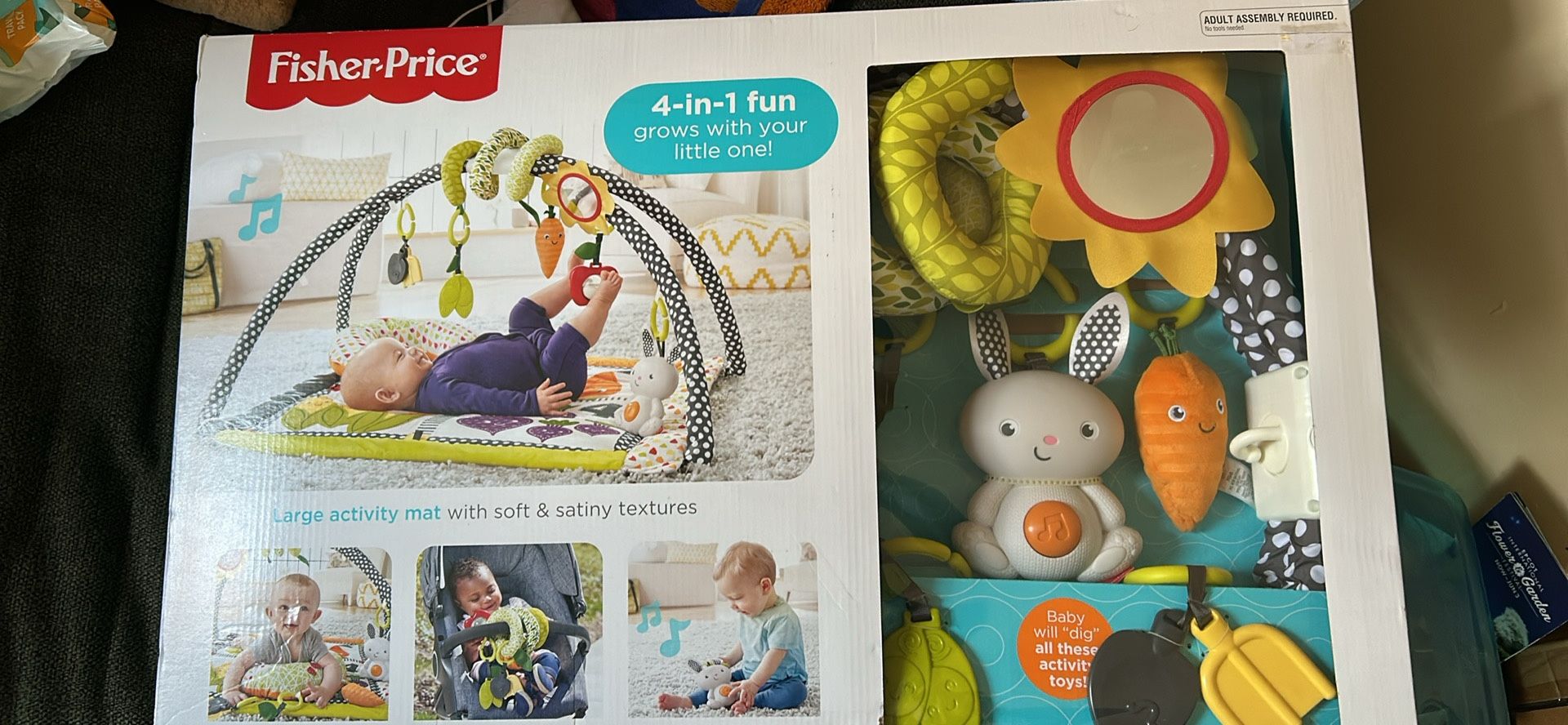 Fisher-Price Music & Activity Gym NIB