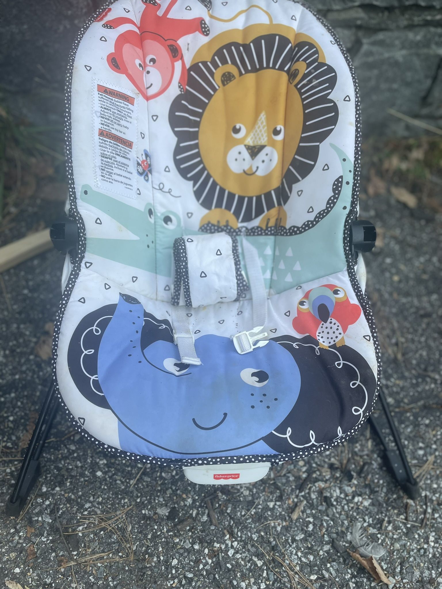 Fisher Price Bouncer 