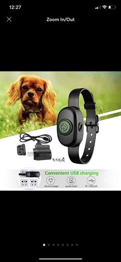 Bark Collar Shock Collar Training