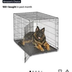 Dog Crate 