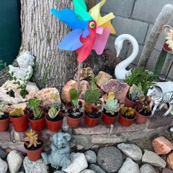 Cute Little Succulents Plants Flowers In Red Pots Bonsai Cactus Home Patio Yard Garden Lawn Design