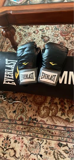 Boxing Gloves and punching bag