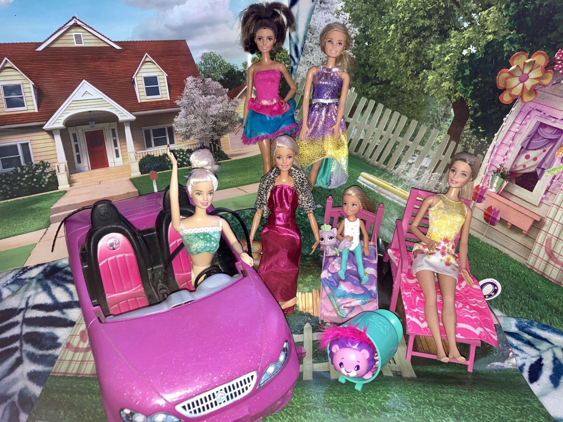 Doll set with furniture and car