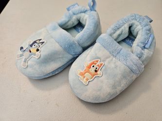 Ground Up Bluey Slippers
