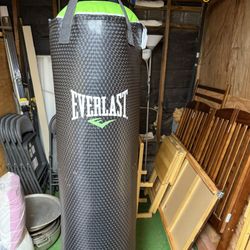 Everlast Punching Bag