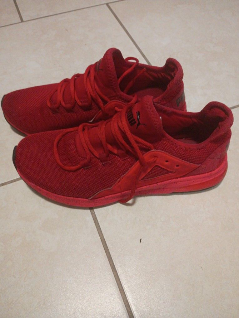 Blood Red Pumas This Cat A Killer 