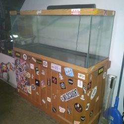 Fish Tank