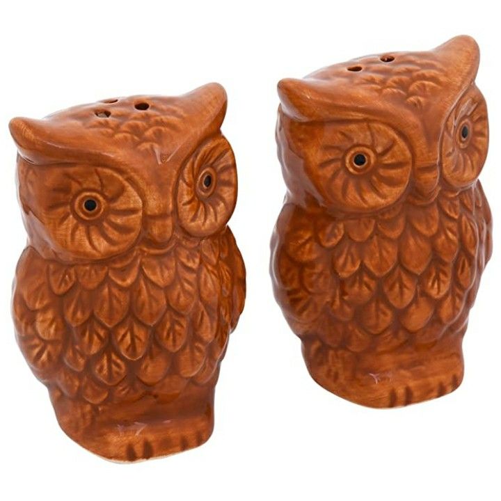 Owl Salt & Pepper Shakers Fall Thanksgiving Holiday Decor