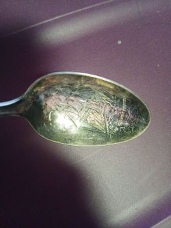 The Constitution Engraved Souvenir Spoon
