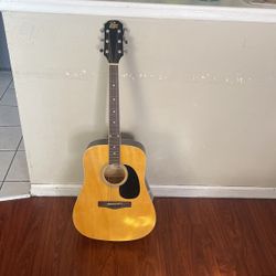 Rogue Guitar