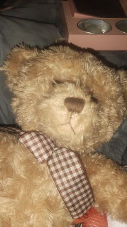 Barrington Collection Bear