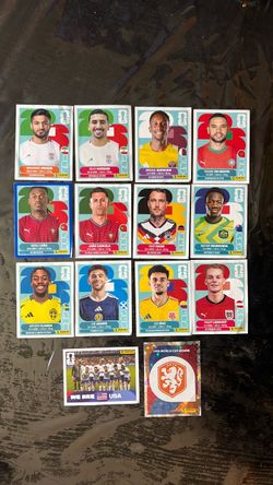 Panini Stickers Duplicates