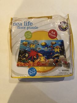 Discovery floor puzzle