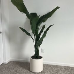 Banana Leaf Plant (artificial) 