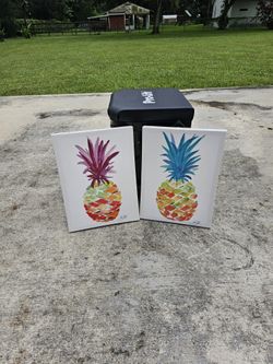 Pineapple Art Set