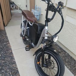 Radrunner Plus Electric Bike