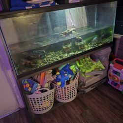 100 Gallon Fish Tank With Metal Stand