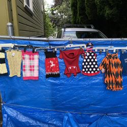 11-13lb Fur baby Starter Wardrobe