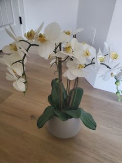 Decor