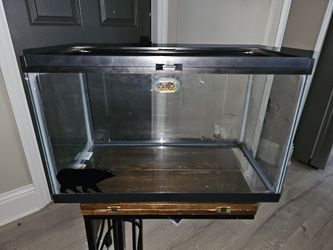 10 Gallon Tanks With Lid