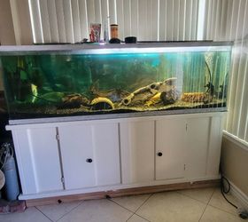 Fish tank