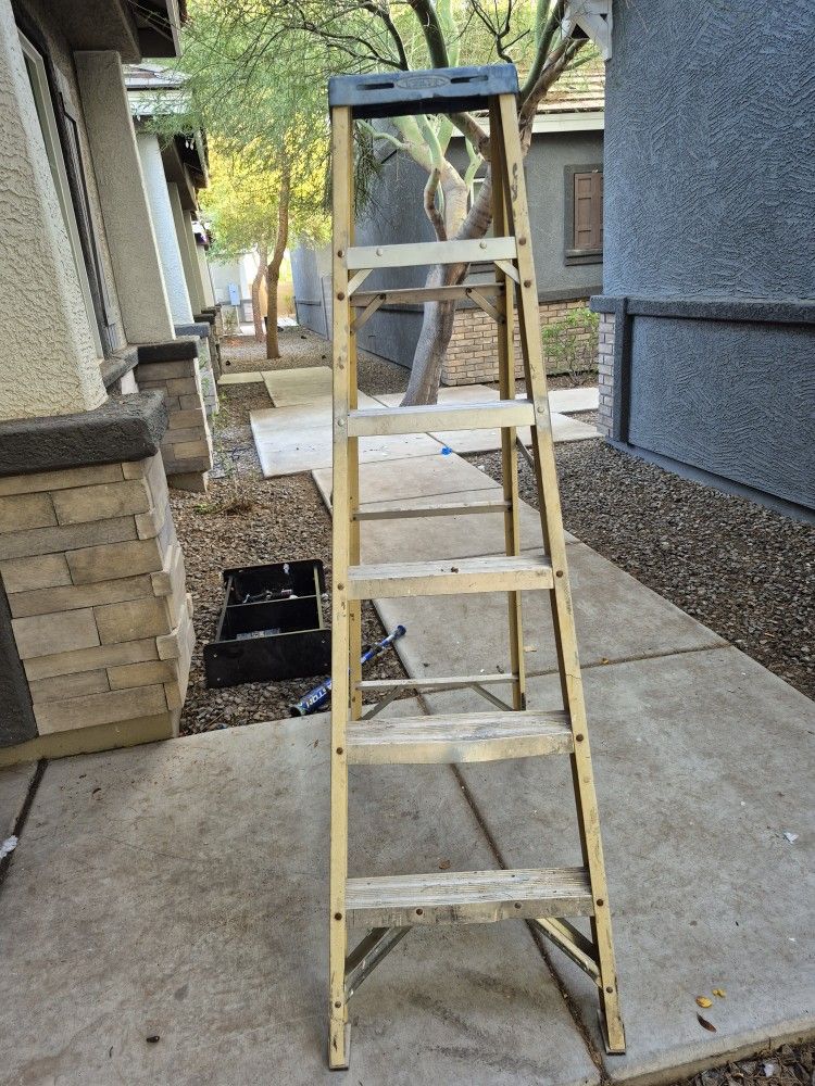 6 Foot Ladder