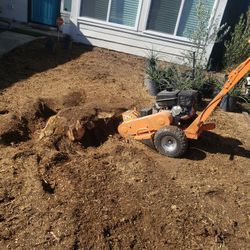 Stump Grinder