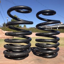 1969 Truck - Real Coil Springs