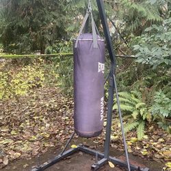 Everlast 100 Ibs MMA Punching Bag With Stand