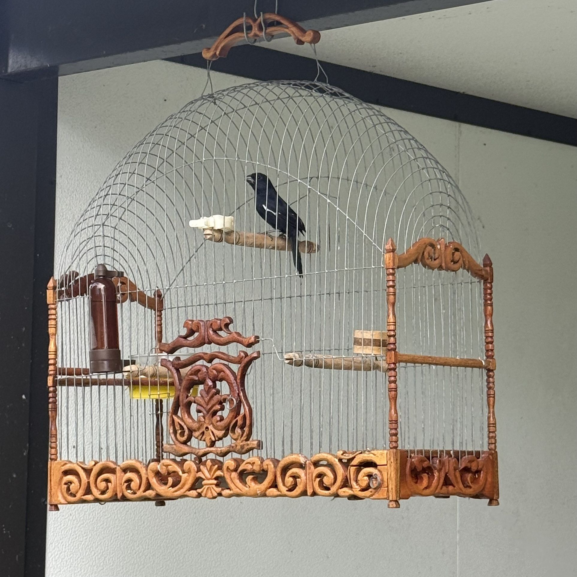 Jaulas En Venta