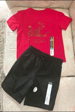 Boy's Shorts And Tee Set Size 5T