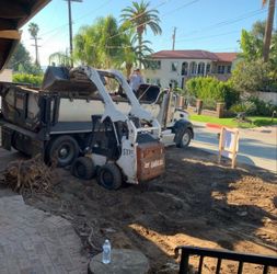 Bobcat +super 10