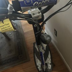 New Scooter.  Huge 