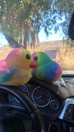 Duck squeeezy