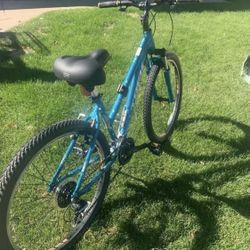 Trek Gear Bike